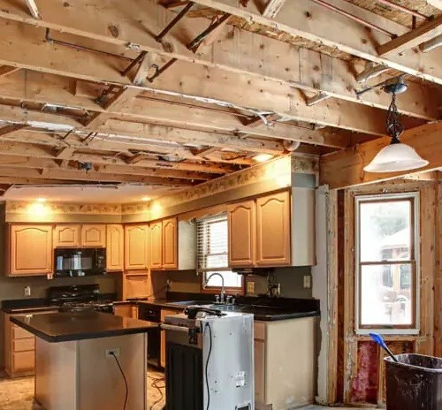 Mold damage restoration and remediation by Prime Cut Construction
